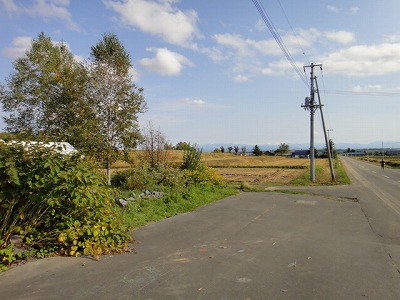 DSC08356.jpg