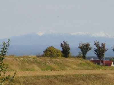 DSC08357.jpg