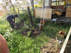 DSC08344.jpg