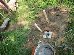 DSC08350.jpg