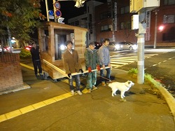 DSC08664.jpg