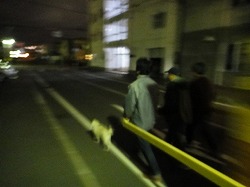 DSC08668.jpg