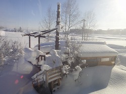 DSC00358.jpg