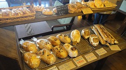 DSC03359.jpg