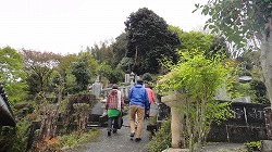 DSC03485.jpg