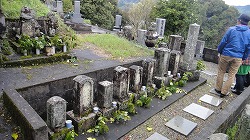 DSC03487.jpg