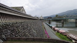 DSC03511.jpg