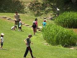 DSCN4005.jpg