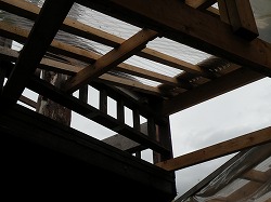DSCN4335.jpg