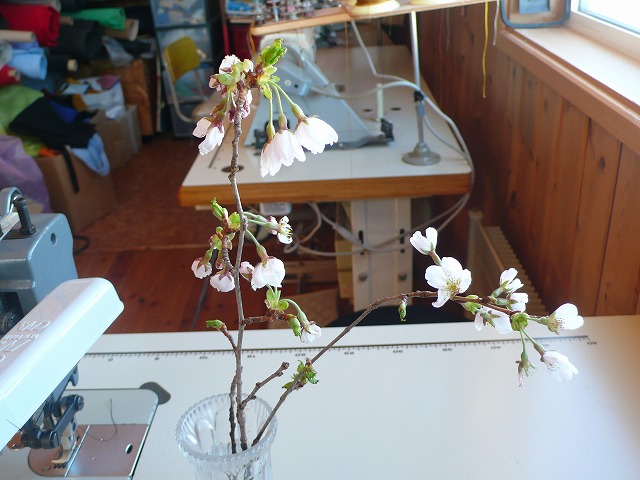 P1060233.jpg