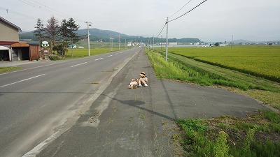 IMG_20140804_080227767.jpg