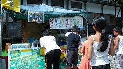 P1070674.jpg
