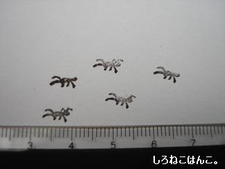 あり