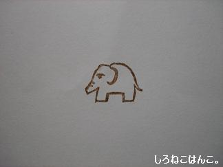 ゾウ