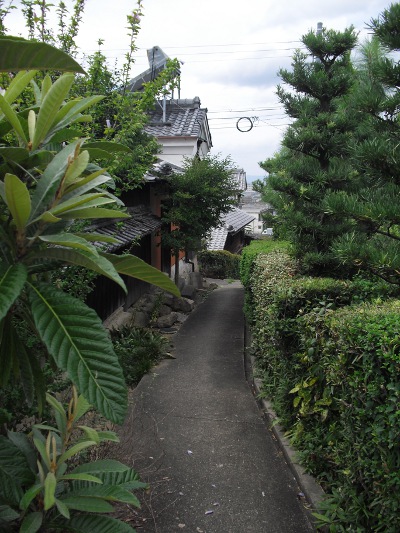 9516西側道