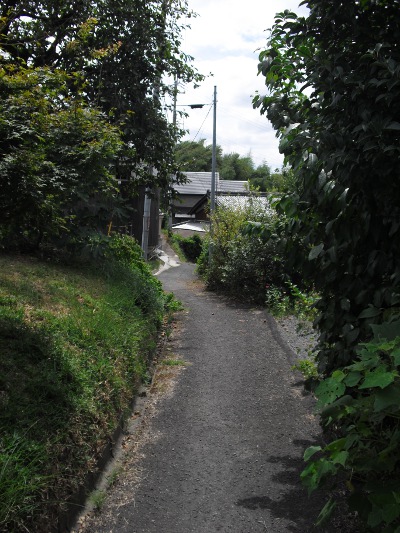 9516南側の道