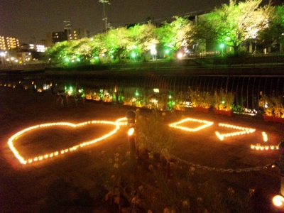 夜桜1