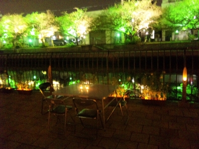 夜桜2