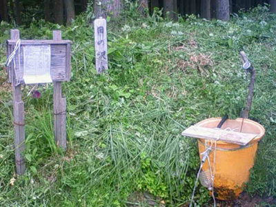 田の沢清水
