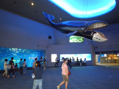 鳥羽水族館