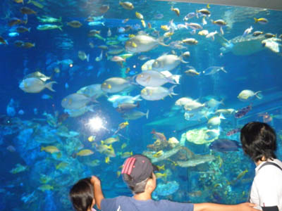 鳥羽水族館