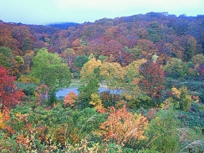 八幡平の紅葉