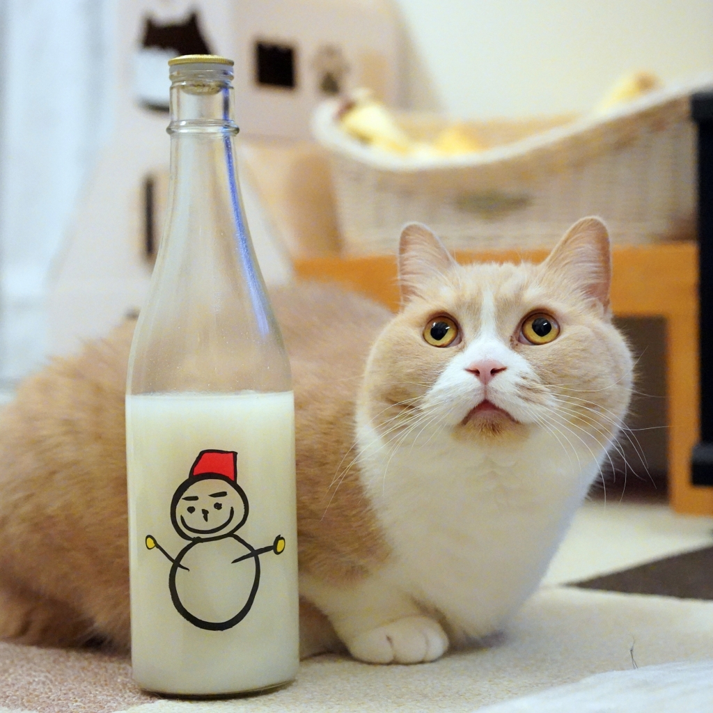 猫と日本酒 仙禽 雪だるま よねっちのほぼ猫日記