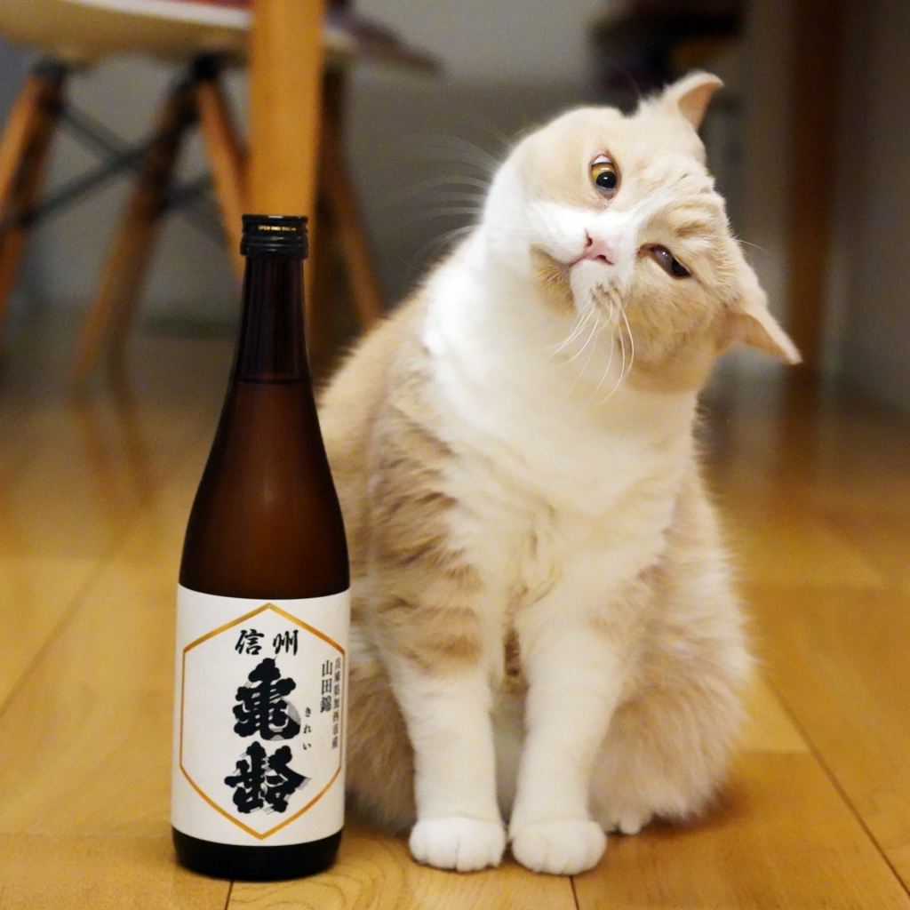 猫と日本酒 信州亀齢 山田錦 純米吟醸 | よねっちのほぼ猫日記