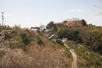 持尾1