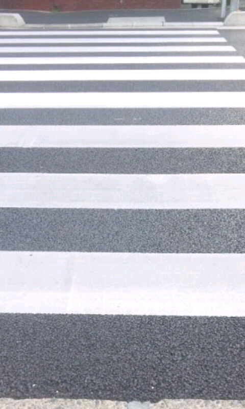 SH3J082400010001.jpg