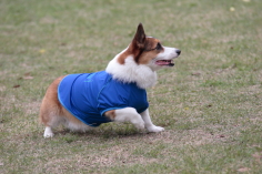 DPP_2869.JPG