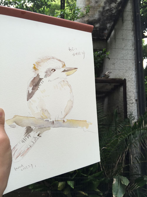 上野動物園 カワセミ