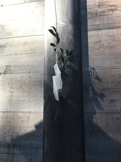 iPhoneImage.png