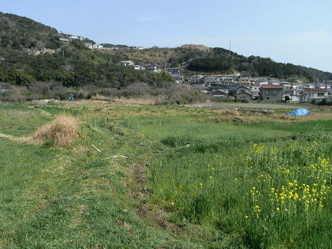 久田
