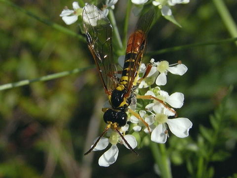 �ϥ������