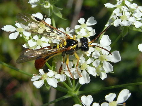 �ϥ������