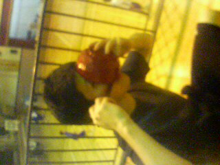 20070222_36571.jpg