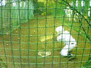 20070327_82503.jpg
