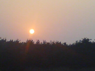 20070501_119917.jpg
