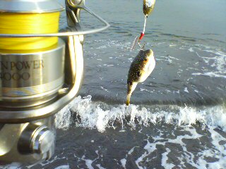 20070623_166606.jpg