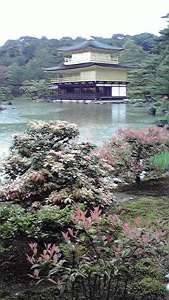 P1100077.jpg