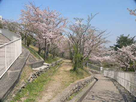 ºù1