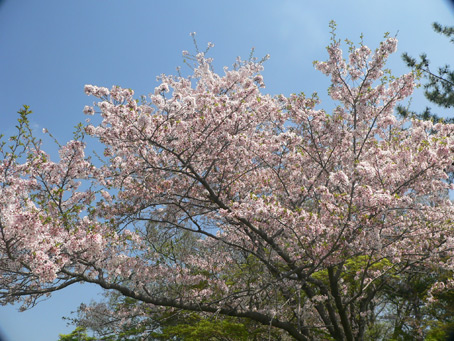 ºù2