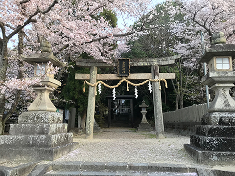 ºù2