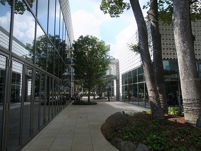 R1091450.jpg
