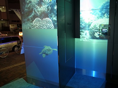 R1098420.jpg