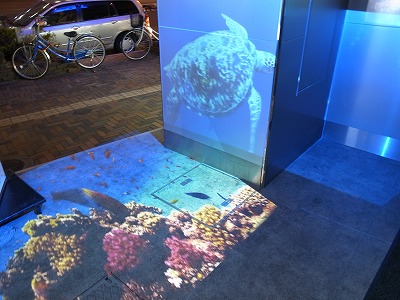 R1098422.jpg