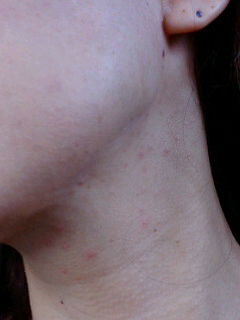 09年09月05日の記事 id