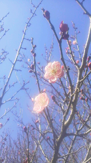 2019020213220000.jpg