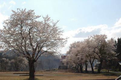 東電さくら広場
